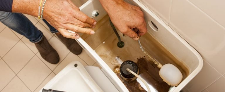 Chasse D Eau Nicoll Qui Fuit