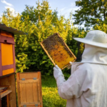 Vente à la ferme