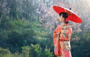 Secrets du Japon : découvrez ses trésors envoûtants