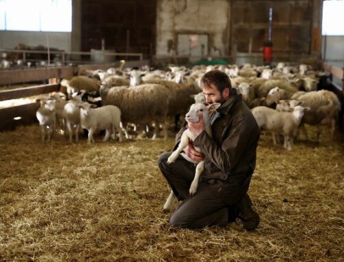 Guide du vermifuge pour animaux de la ferme