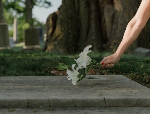 Fleurs cimetière