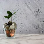 crowdfunding écologie