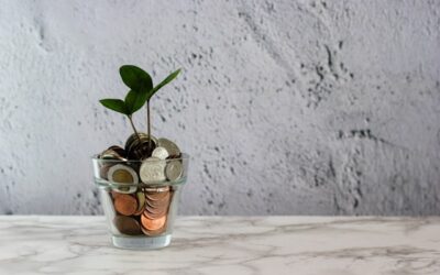 crowdfunding écologie