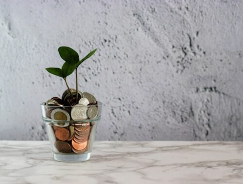 crowdfunding écologie