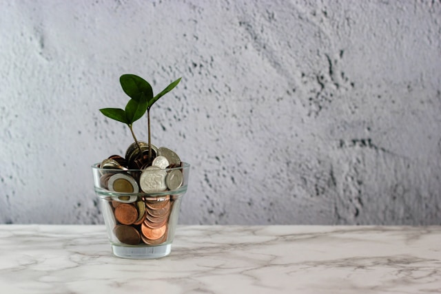 crowdfunding écologie