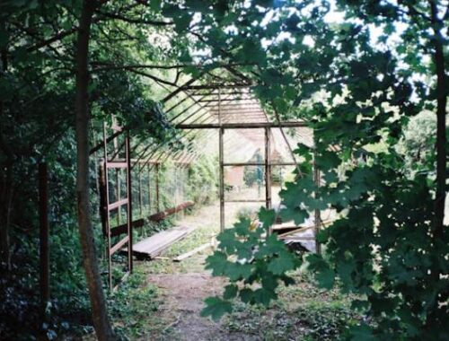 abri de jardin