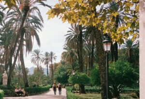 Les gens se promènent dans un jardin serein bordé de palmiers.