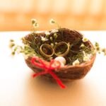 salon alliances Toulouse