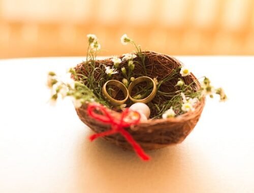 salon alliances Toulouse