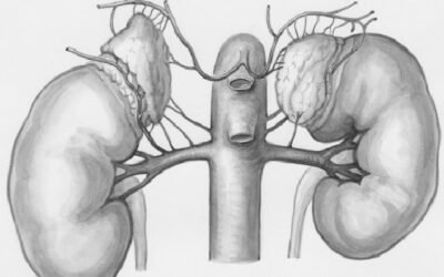 Insuffisance rénale
