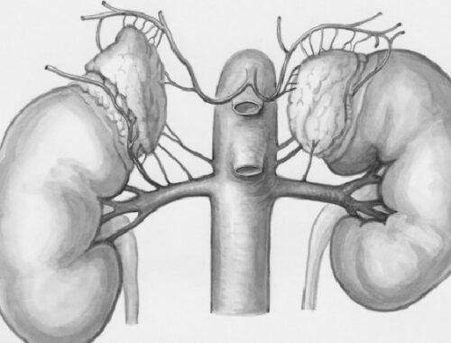 Insuffisance rénale