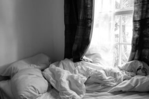 punaises de lit