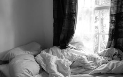 punaises de lit