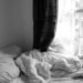 punaises de lit