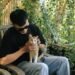 animaux de compagnie