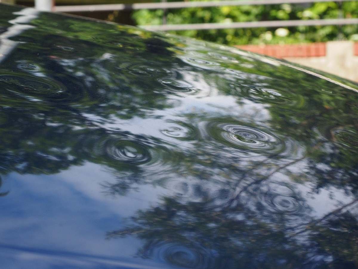 Réflexion d'arbres et de ciel sur une surface lisse