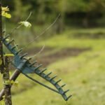 Un râteau vert accroché à un jeune arbre dans un pré verdoyant